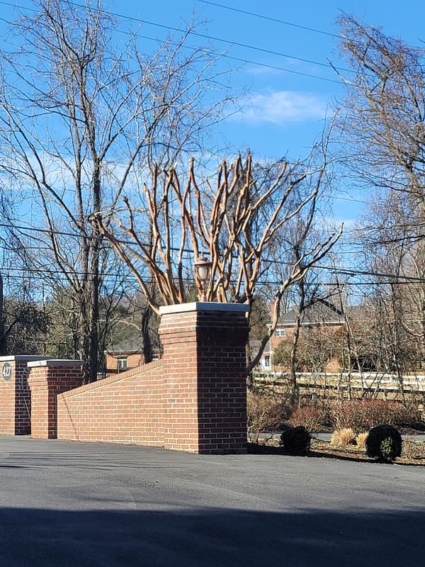 KD Landscaping project photo