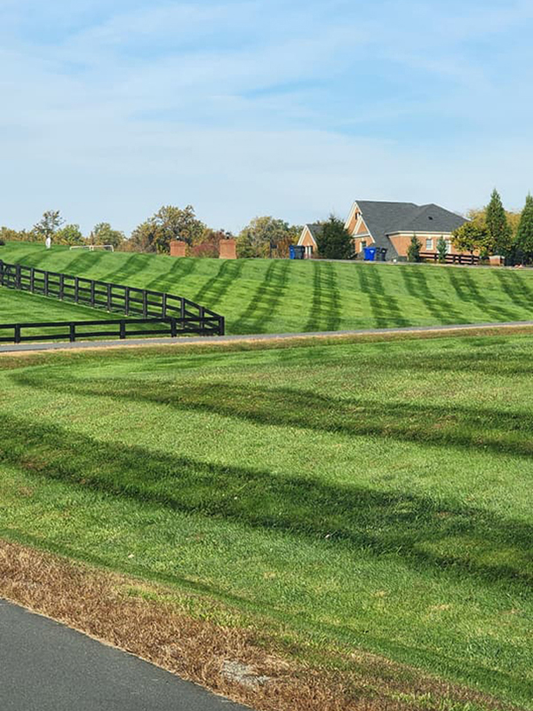 KD Landscaping project photo