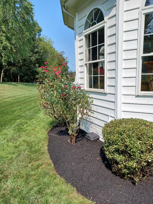 KD Landscaping project photo