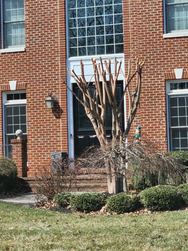 KD Landscaping project photo