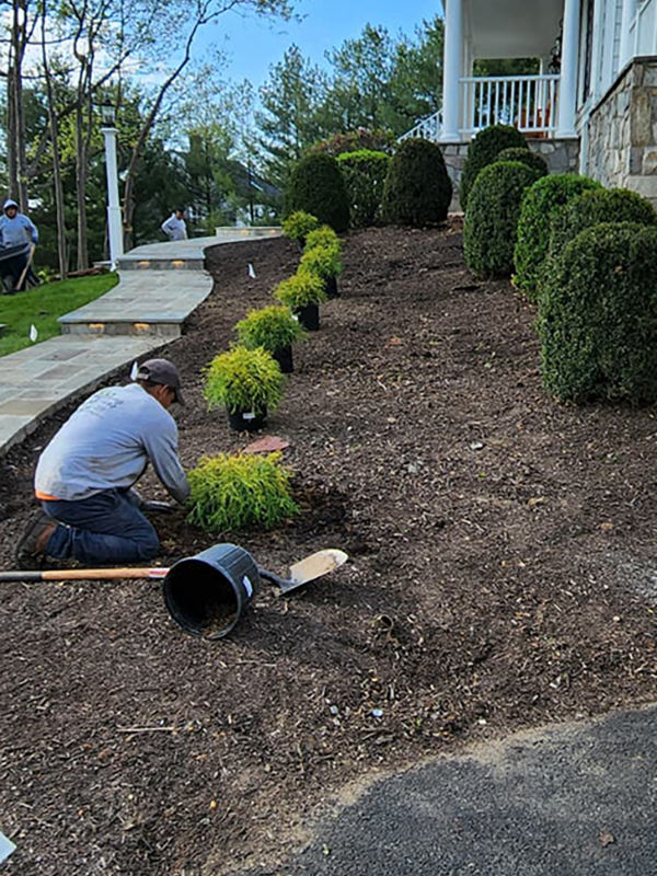 KD Landscaping project photo