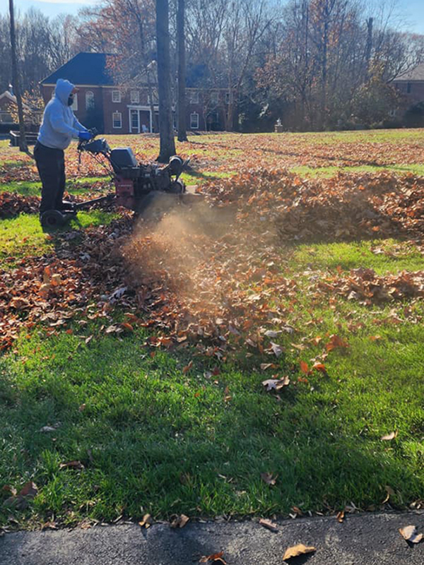 KD Landscaping project photo